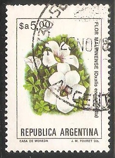 Flor Malvinense