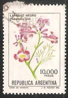Lapacho negro