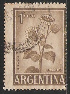 Girasol