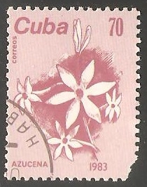 Azucena
