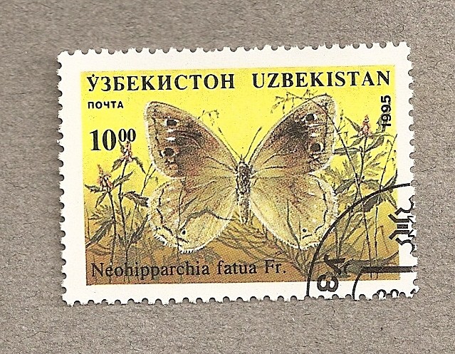 Mariposa Neohipparchia fatua