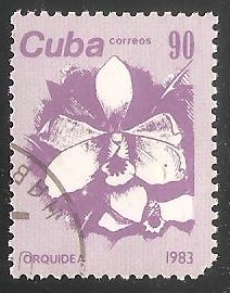 Orquidea