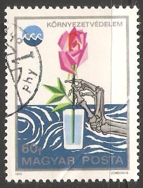 rosa