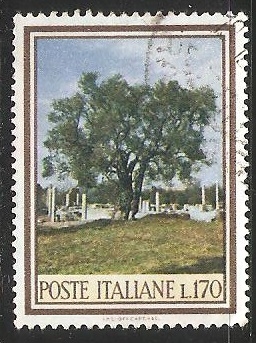 Olivo