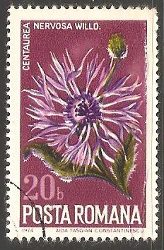 Pícea europea, 