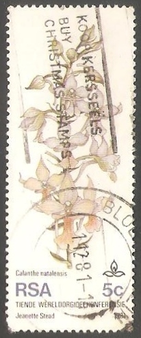 Orquidea