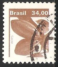 Cacao