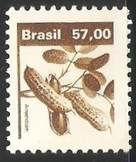 Amendoin (mani)