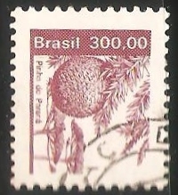 Piña de Parana