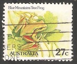 Blue mountains tree frog-rana de árbol 