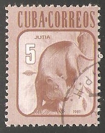 Jutia