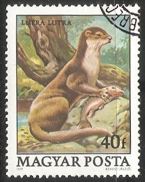 Nutria
