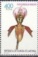 GUINEA ECUATORIAL 1999 Scott 233 b Sello Nuevo Flores, Orquideas Paphiopedilum Insigne M256