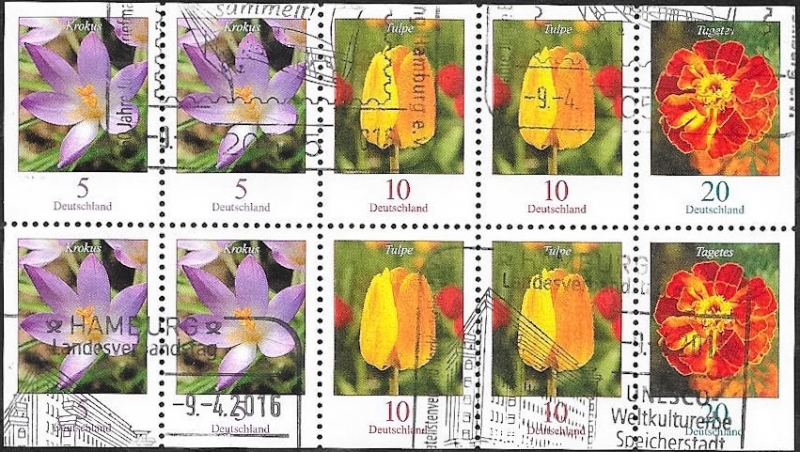 Flores