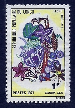 Flor Tropical