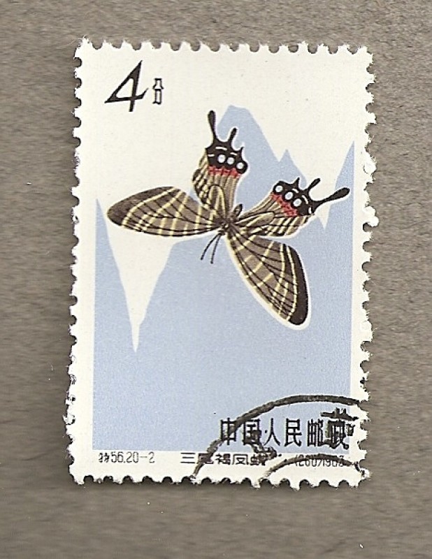 Mariposa