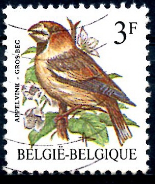 BELGICA_SCOTT 1219.03 GROS BEC. $0,2