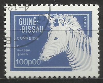 2843/24