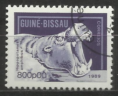 2844/24