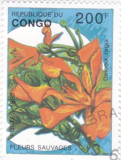 FLORES SALVAJES