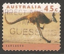 Kangaroo