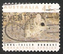 Long Tailed Dunnart