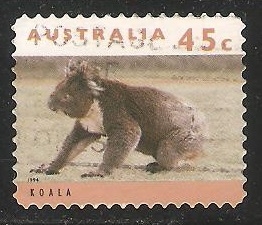 Koala
