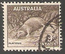 Platypus