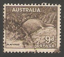 Platypus