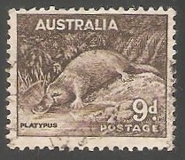 Platypus