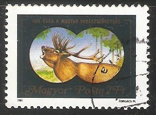 Red Deer (Cervus elaphus)