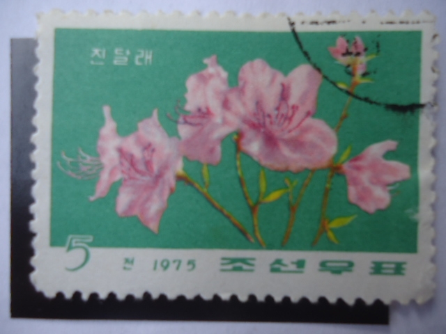 Corea del Norte - Flora.