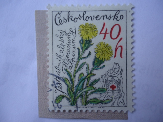 Rescate de Montañas.