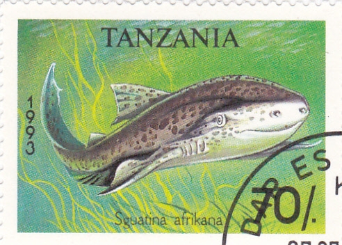 sguiatina africana