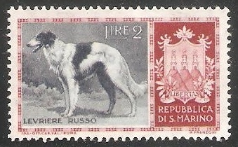 Borzoi