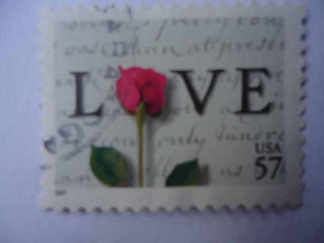 Amor - Love
