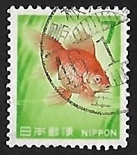 Goldfish