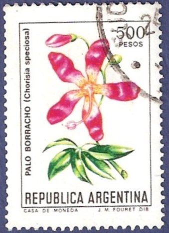 ARG Palo borracho 500