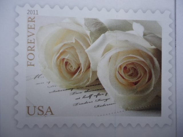 Las Rosas de la Boda. The Wedding Roses.