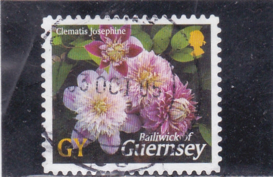 FLORES DE GUERNSEY
