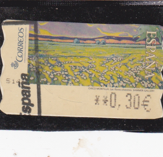 ATM- PAISAJE (29)