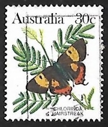 Mariposa
