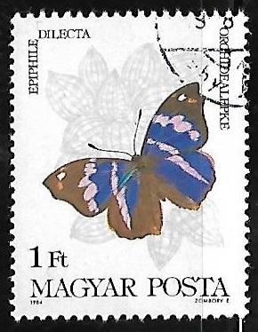 Mariposa