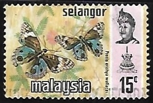 Mariposa