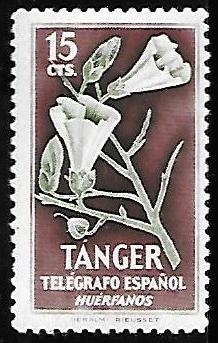 Tánger - Telégrafo español, Huérfanos, Flor