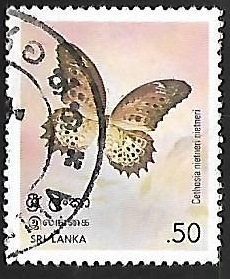 Mariposa