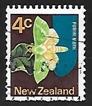 Mariposa