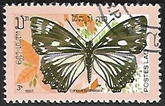 Mariposa