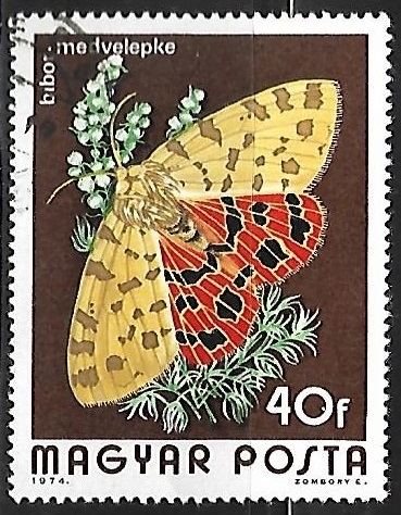 Mariposa