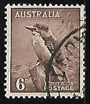 Kookaburra